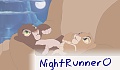 NightRunner0