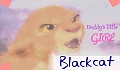 blackcat