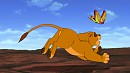 This is so fun! Simba join me!
