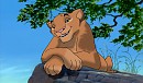 Mbali Request
