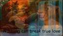 Nothing can break true love