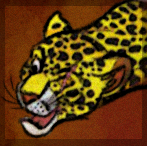 One-Eye Avie