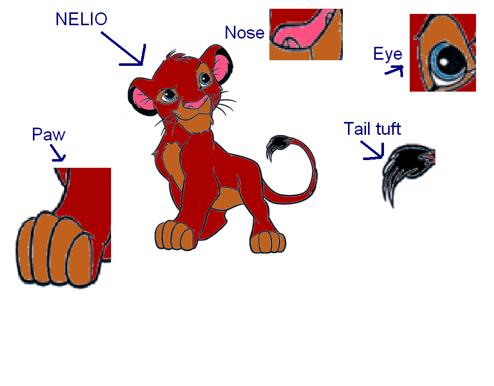 Close up of Nelio