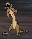 A meerkat character?
