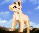 mapleshade character 2
