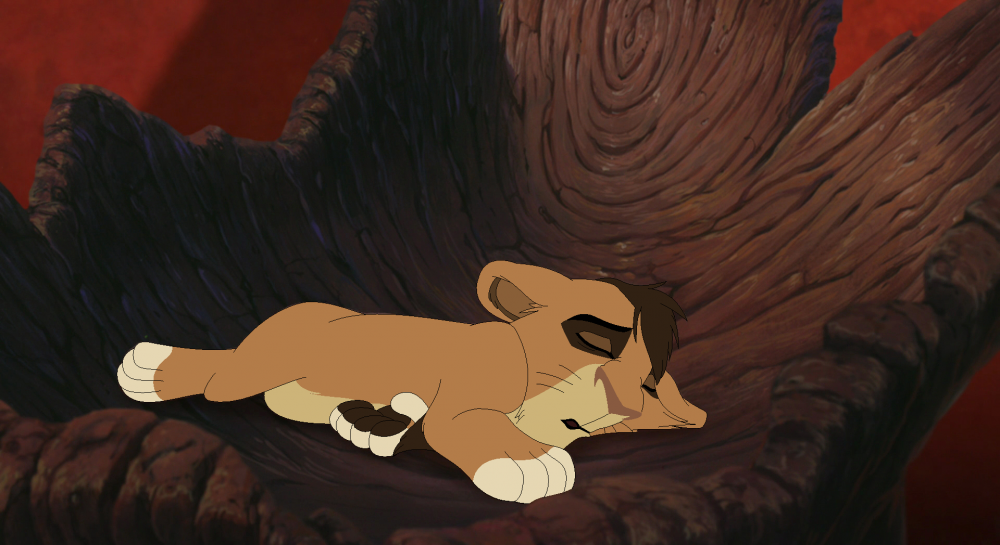 Sleeping Like A Boss