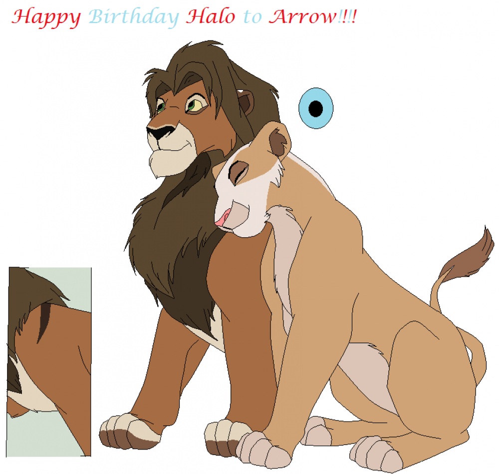 Happy Birthday Halo to Arrow!!!!