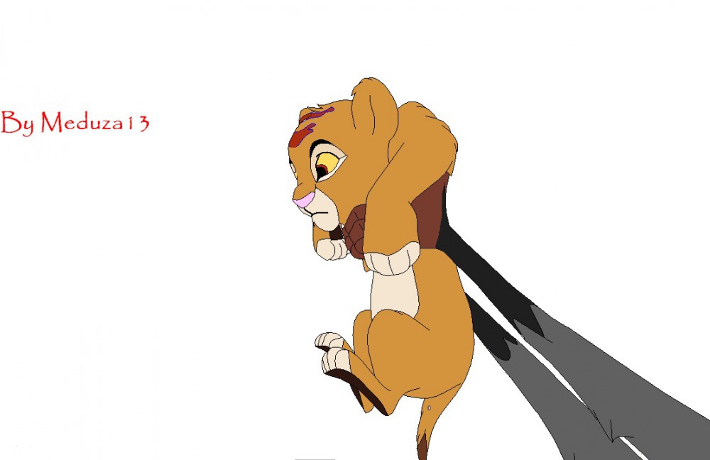  SimbaxNala Fan cub