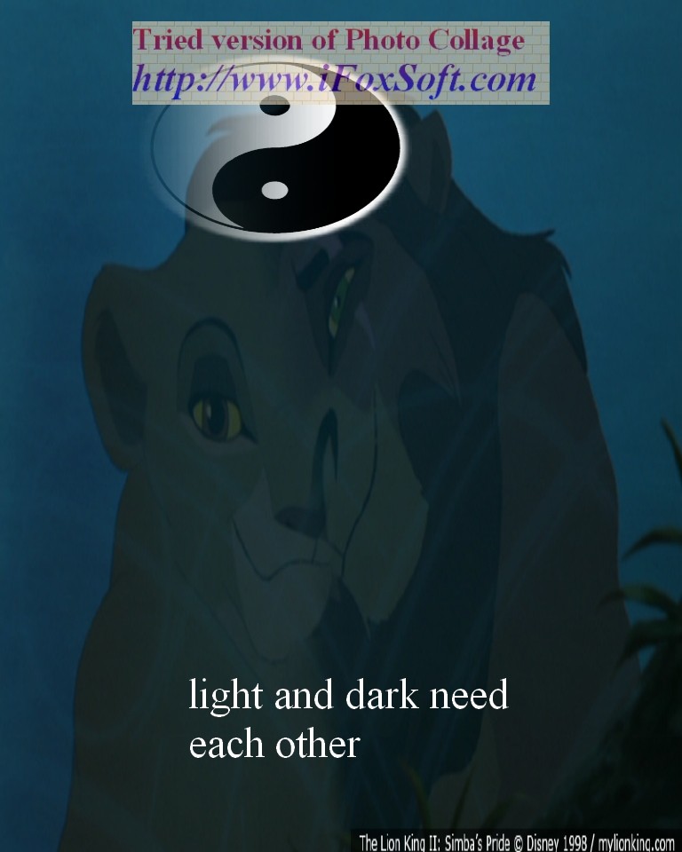 light and dark