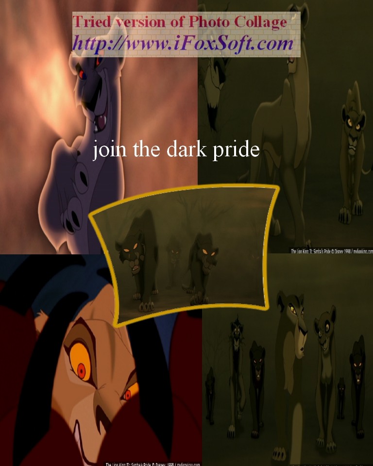shadowlander collage