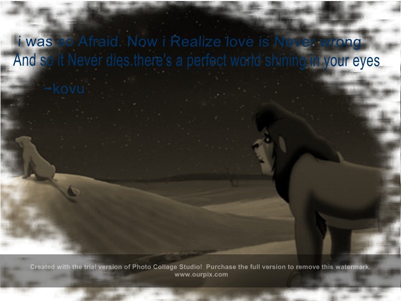 kovu wallpaper