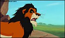 The Son Of Scar : Giza
