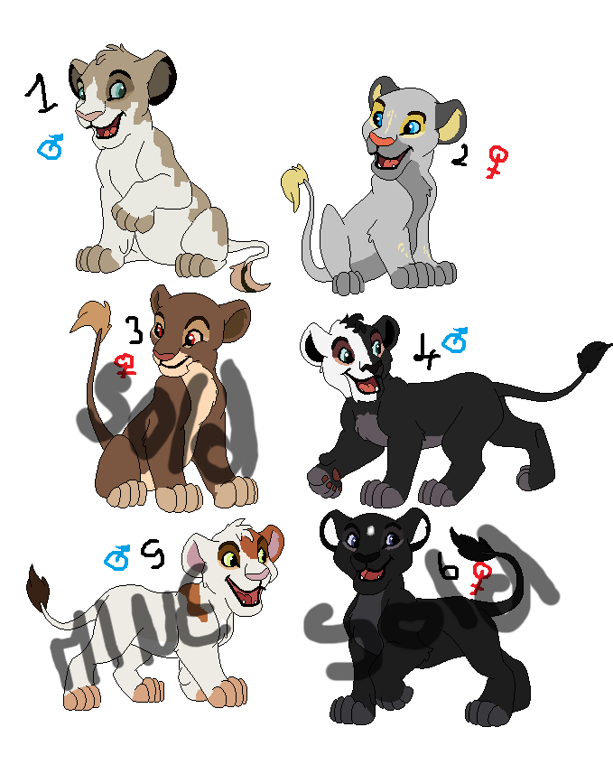 Adoption n°3 (fermer)