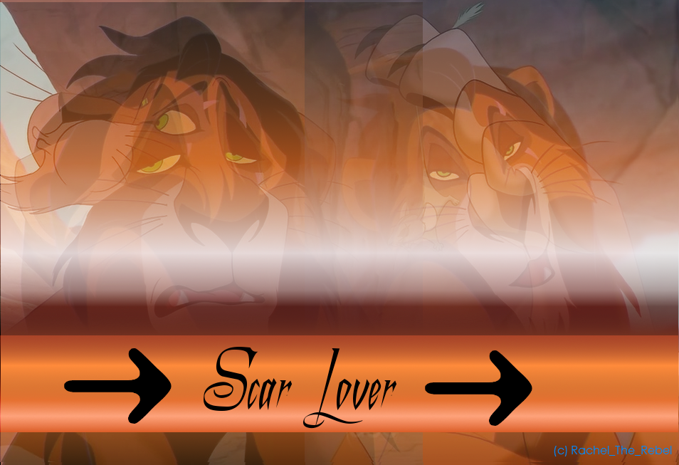 Scar Lover