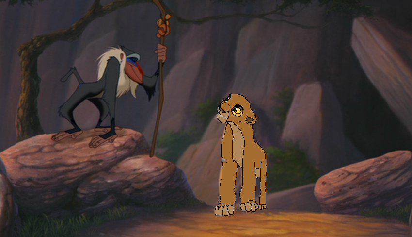 Looking at the Shaman