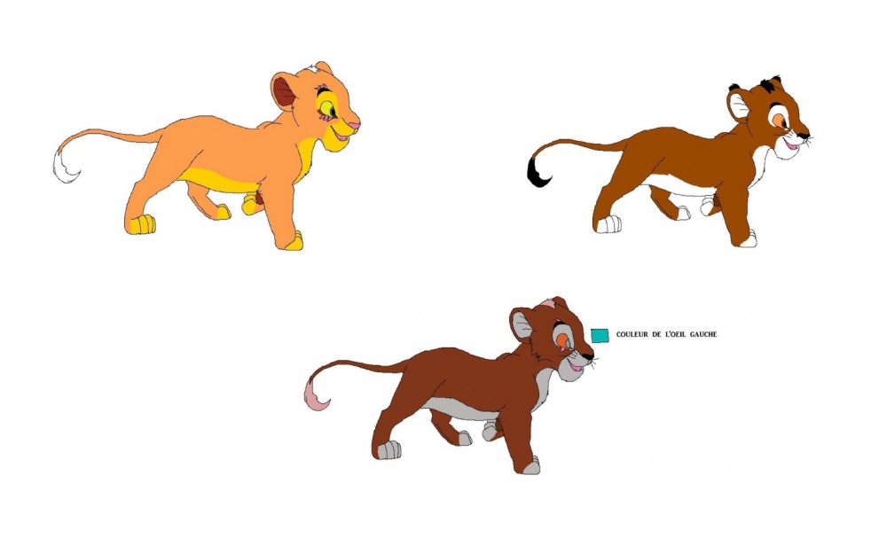 Adoptions n°2