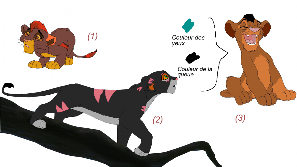 Adoptions n°3