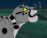 To the stars, the great Kings watch over us all