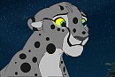 Ravenwhisper (Adult cheetah 1)