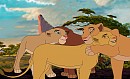 Kiara, Nala, and Two Others