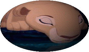 Nala World