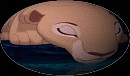 Nala World
