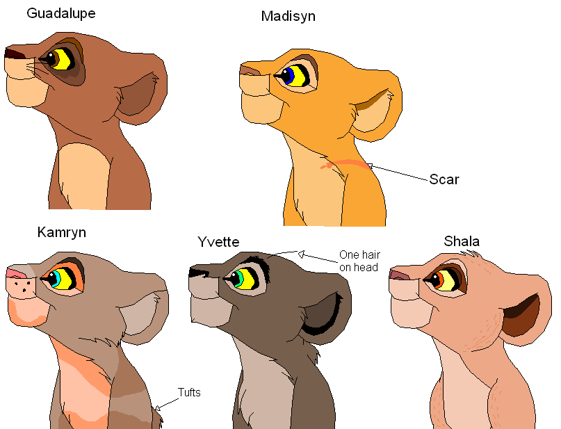 Five adoptable cubs