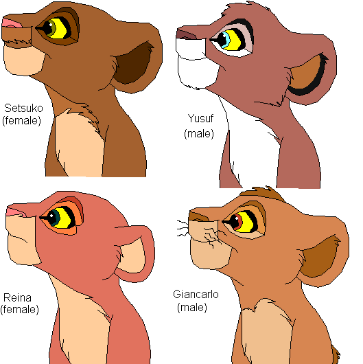 Some adoptable cubs