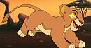 Cub adoptable