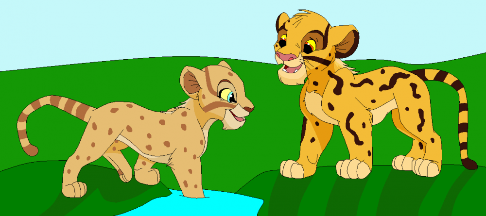Cheetah cubs playing