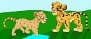 Cheetah cubs playing