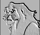 Simba avatar