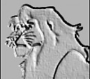 Simba avatar