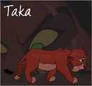 Taka/Scar lionceau