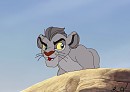 Fierce Cub
