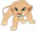 angry kitty