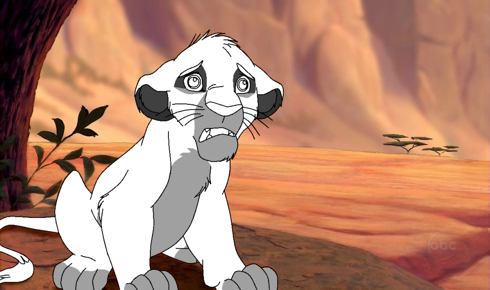 Simba cub, Base.