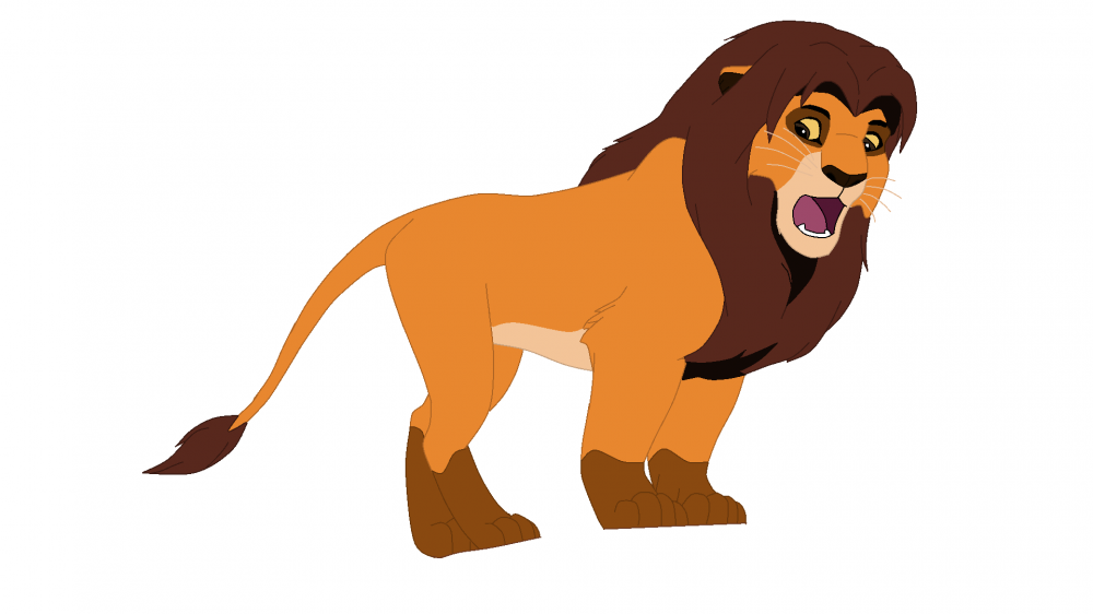 Bruno **Redesign**