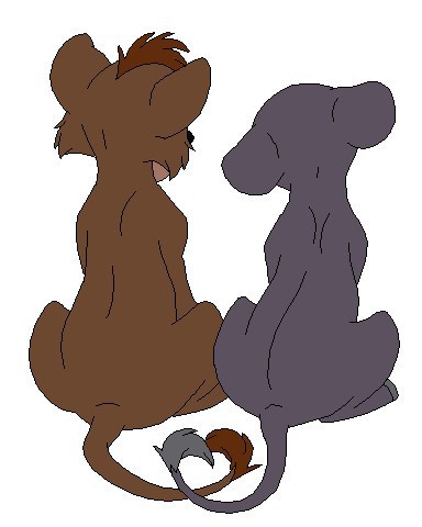 Cub love