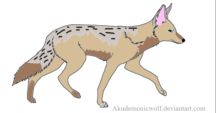 Suki