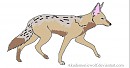 Suki