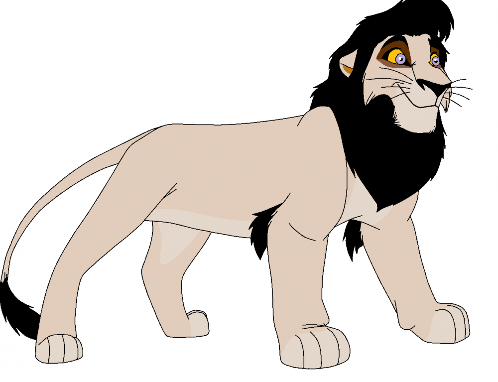Zayn