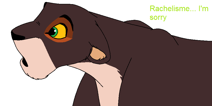 Rachelisme-I'm sorry >: