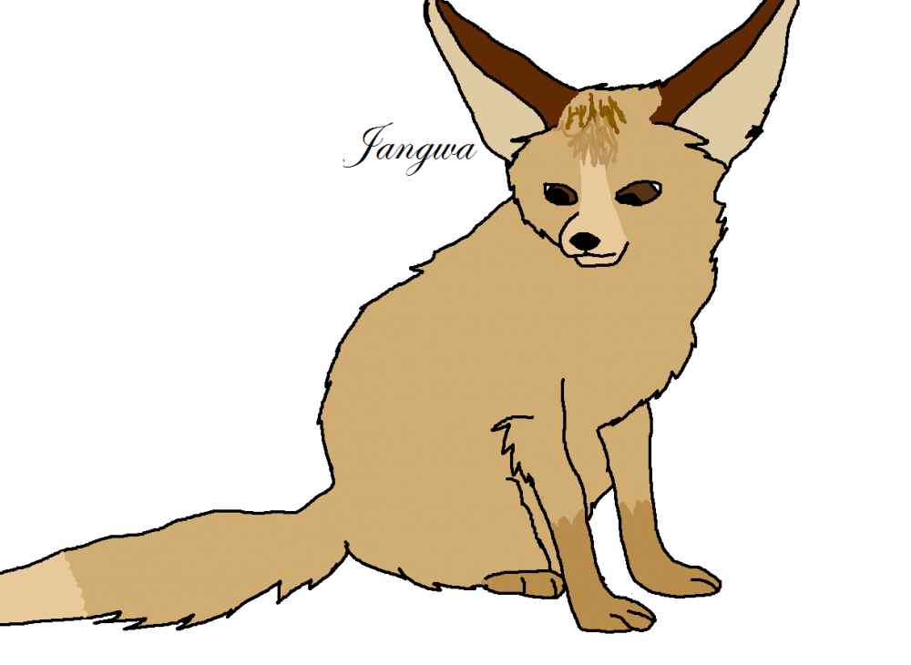 Fennec fox!