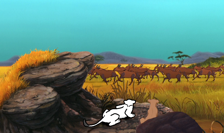 Base 15 -How to hunt base-