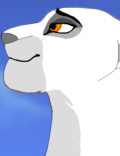Base 29 -regal lioness-