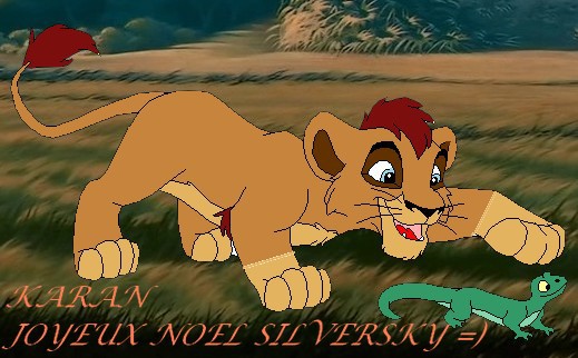 Cadeau pour silversky=)
