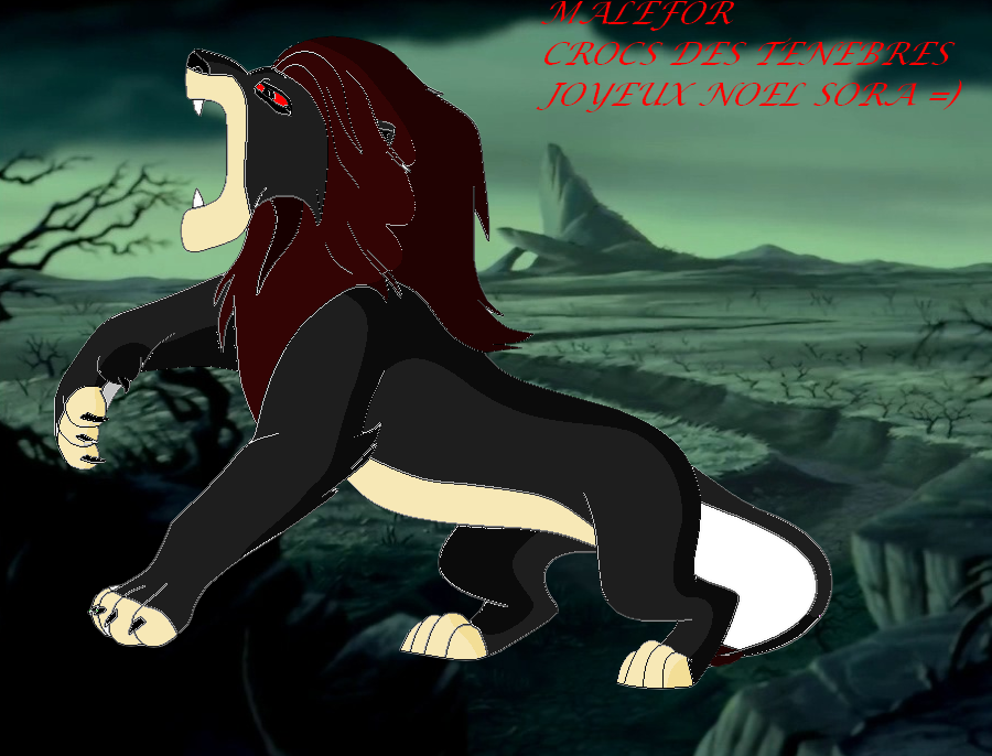 Cadeau pour sora =)
