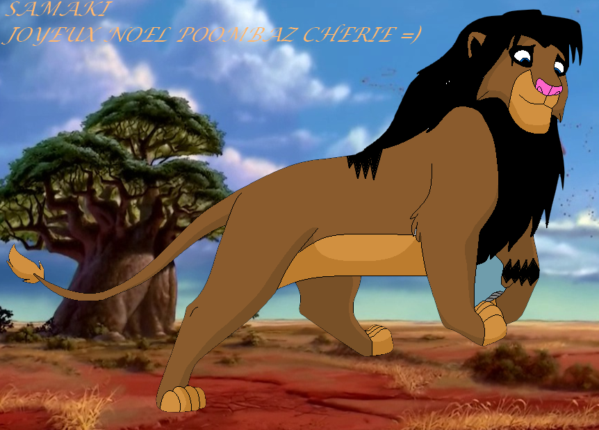 Cadeau pour poombaz