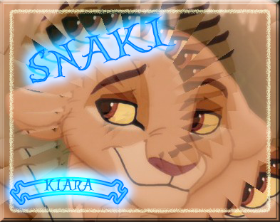 Cadeau n°15 for snaki: